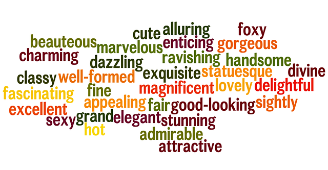 Using adjectives in academic essay writing